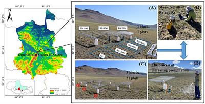 Effects of Rainfall Manipulation on Ecosystem Respiration and Soil Respiration in an Alpine Steppe in Northern Tibet Plateau